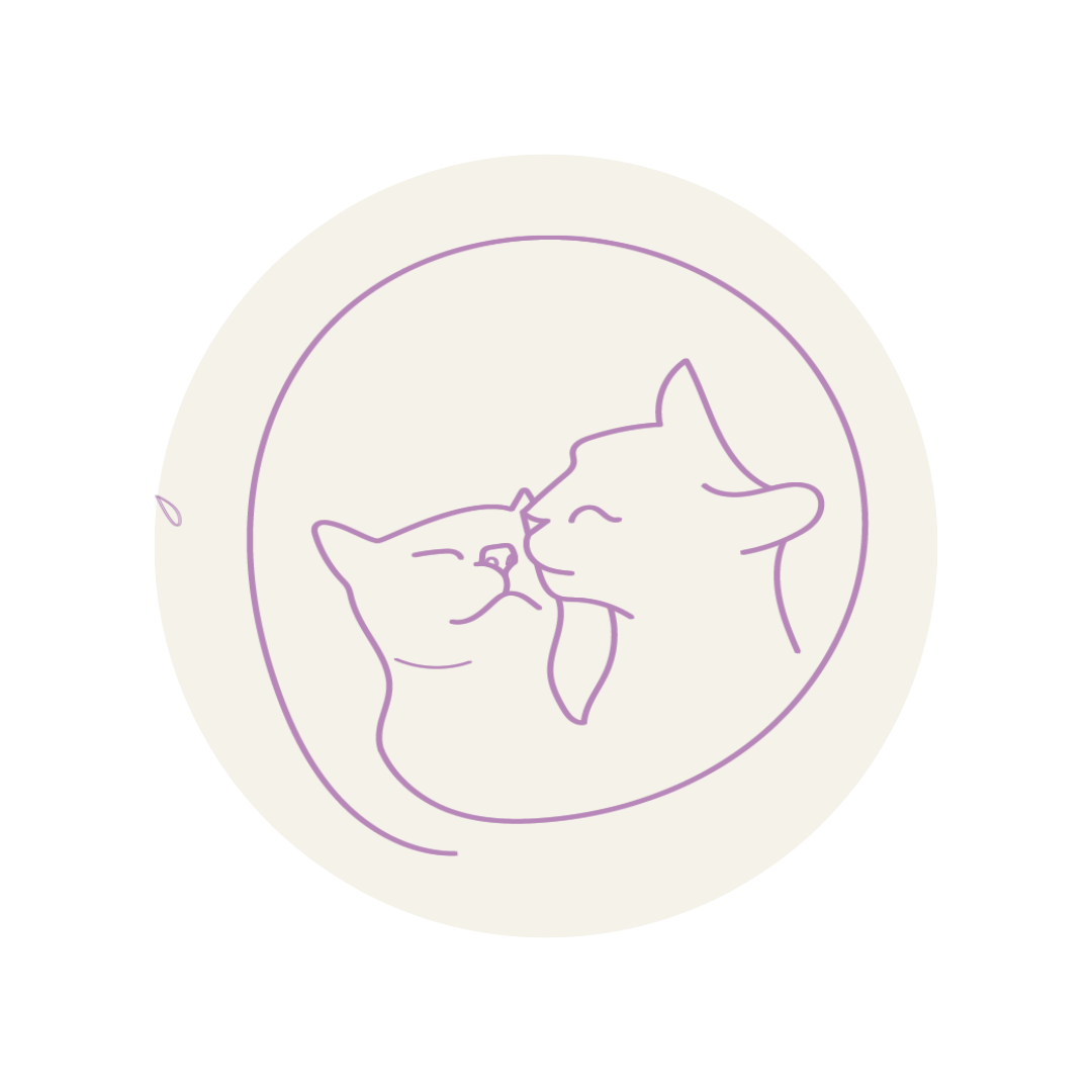 serviços, catsitting , catcare, cattaxi, catsitter, catboarding, comportamento felino doméstico, coaching para tutores de felinos domésticos, enriquecimento ambiental, casas cat friendly,