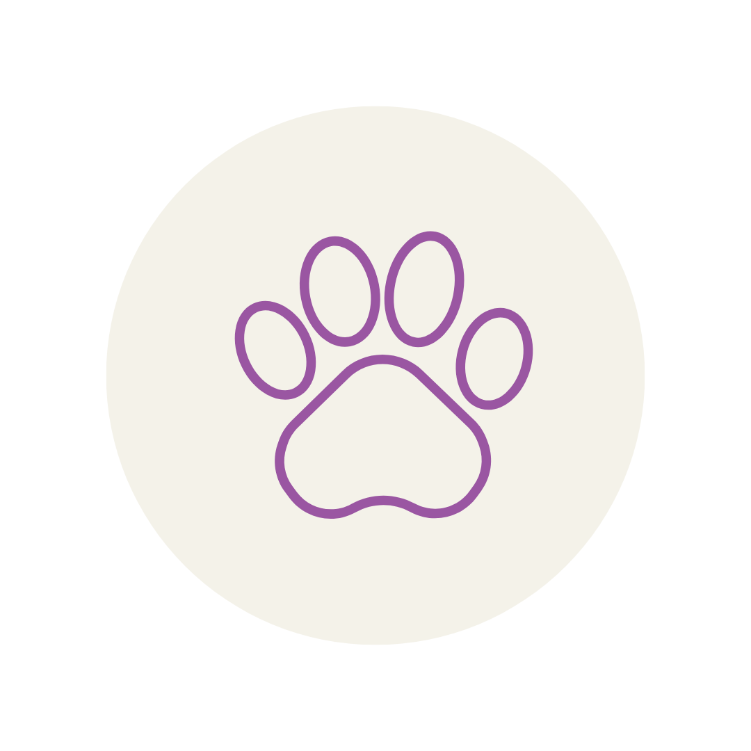 serviços, catsitting , catcare, cattaxi, catsitter, catboarding, comportamento felino doméstico, coaching para tutores de felinos domésticos, enriquecimento ambiental, casas cat friendly,