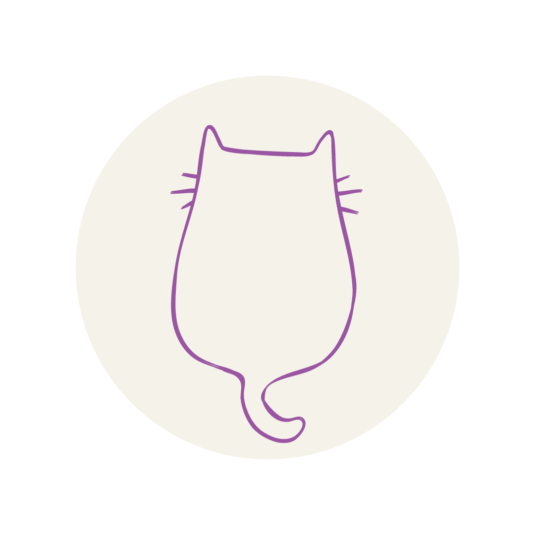 serviços, catsitting , catcare, cattaxi, catsitter, catboarding, comportamento felino doméstico, coaching para tutores de felinos domésticos, enriquecimento ambiental, casas cat friendly,