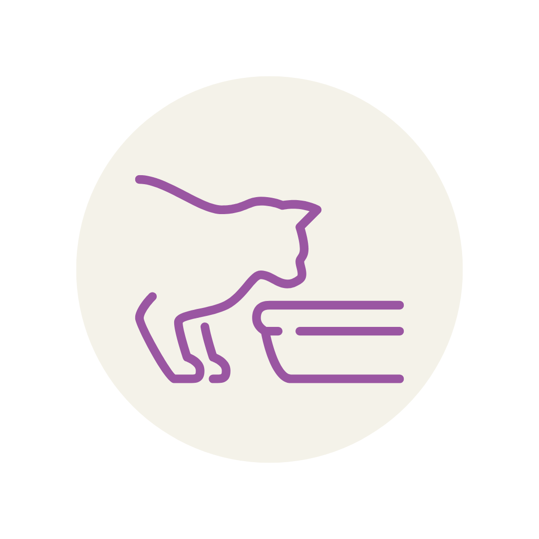 serviços, catsitting , catcare, cattaxi, catsitter, catboarding, comportamento felino doméstico, coaching para tutores de felinos domésticos, enriquecimento ambiental, casas cat friendly,