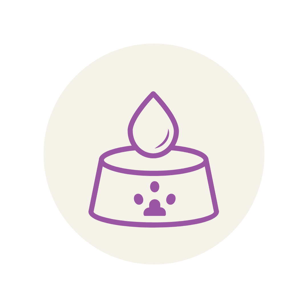 serviços, catsitting , catcare, cattaxi, catsitter, catboarding, comportamento felino doméstico, coaching para tutores de felinos domésticos, enriquecimento ambiental, casas cat friendly,