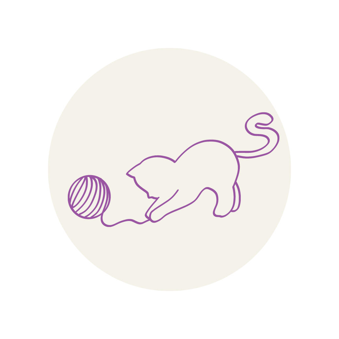 serviços, catsitting , catcare, cattaxi, catsitter, catboarding, comportamento felino doméstico, coaching para tutores de felinos domésticos, enriquecimento ambiental, casas cat friendly,