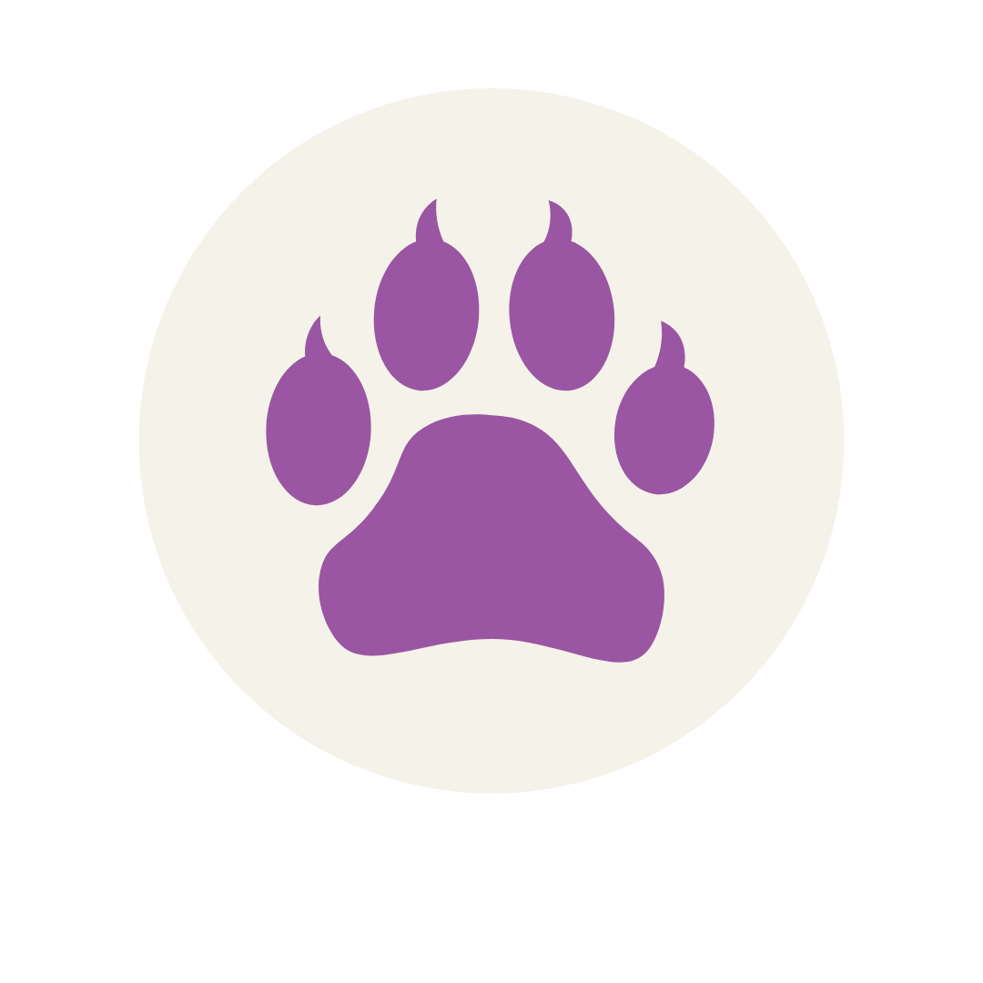 serviços, catsitting , catcare, cattaxi, catsitter, catboarding, comportamento felino doméstico, coaching para tutores de felinos domésticos, enriquecimento ambiental, casas cat friendly,