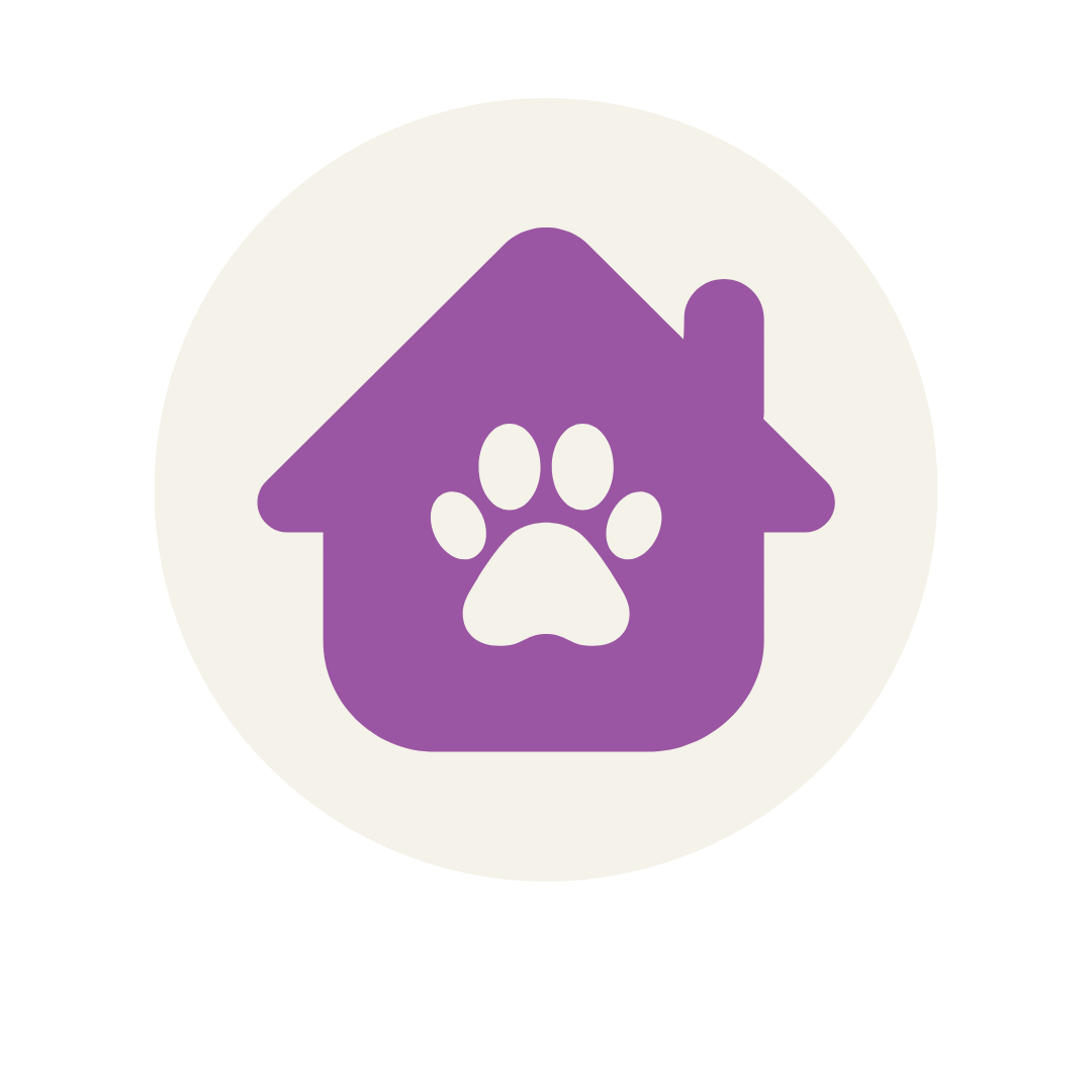 serviços, catsitting , catcare, cattaxi, catsitter, catboarding, comportamento felino doméstico, coaching para tutores de felinos domésticos, enriquecimento ambiental, casas cat friendly,