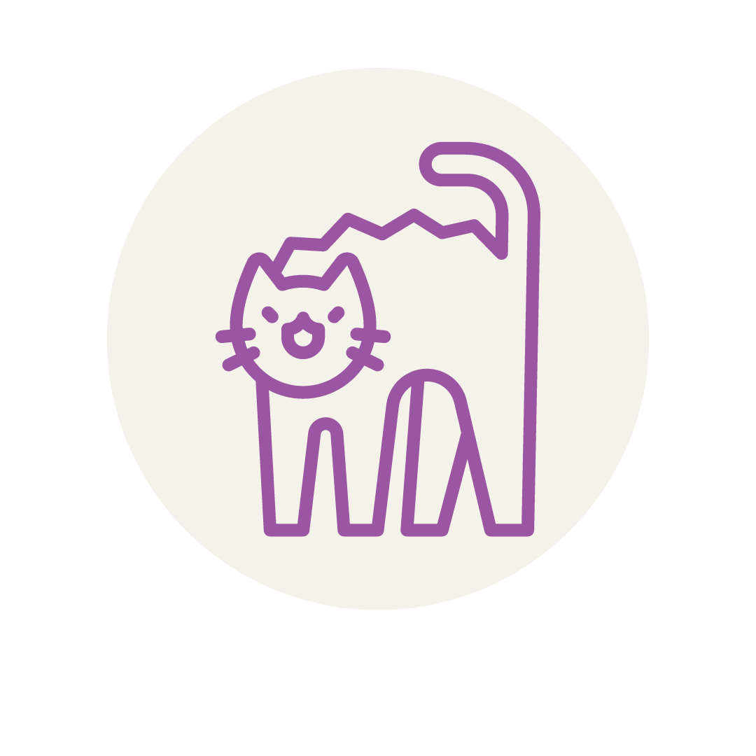 serviços, catsitting , catcare, cattaxi, catsitter, catboarding, comportamento felino doméstico, coaching para tutores de felinos domésticos, enriquecimento ambiental, casas cat friendly,