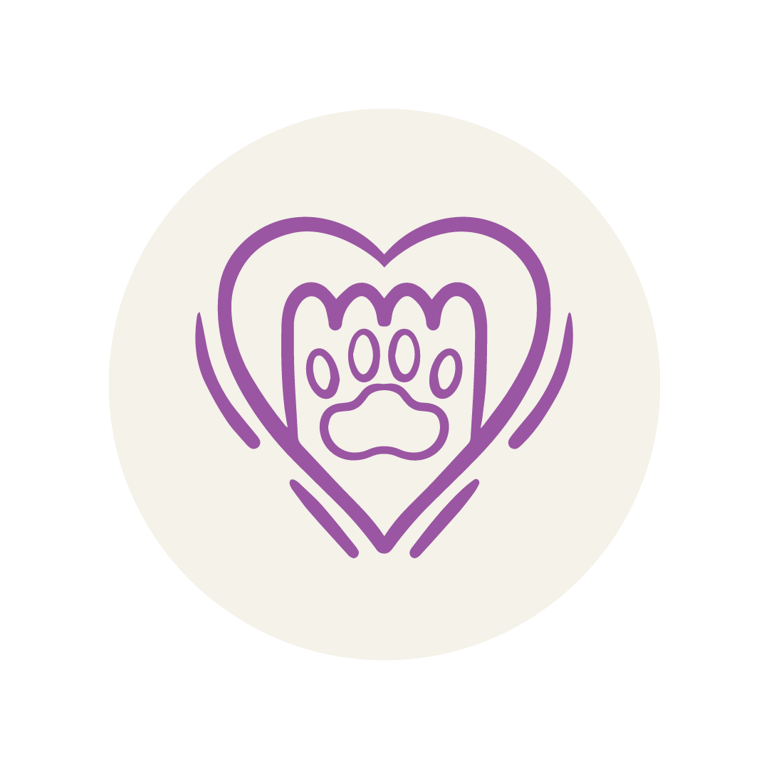 serviços, catsitting , catcare, cattaxi, catsitter, catboarding, comportamento felino doméstico, coaching para tutores de felinos domésticos, enriquecimento ambiental, casas cat friendly,
