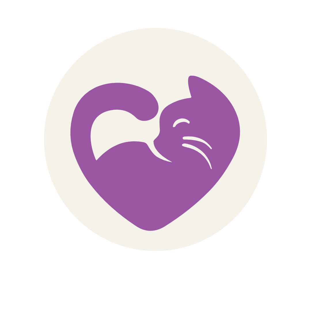 serviços, catsitting , catcare, cattaxi, catsitter, catboarding, comportamento felino doméstico, coaching para tutores de felinos domésticos, enriquecimento ambiental, casas cat friendly,