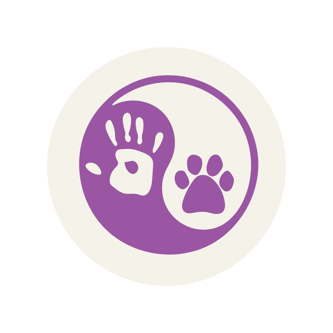 serviços, catsitting , catcare, cattaxi, catsitter, catboarding, comportamento felino doméstico, coaching para tutores de felinos domésticos, enriquecimento ambiental, casas cat friendly,