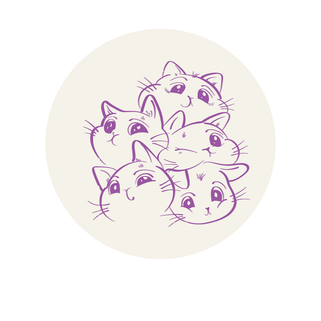 serviços, catsitting , catcare, cattaxi, catsitter, catboarding, comportamento felino doméstico, coaching para tutores de felinos domésticos, enriquecimento ambiental, casas cat friendly,