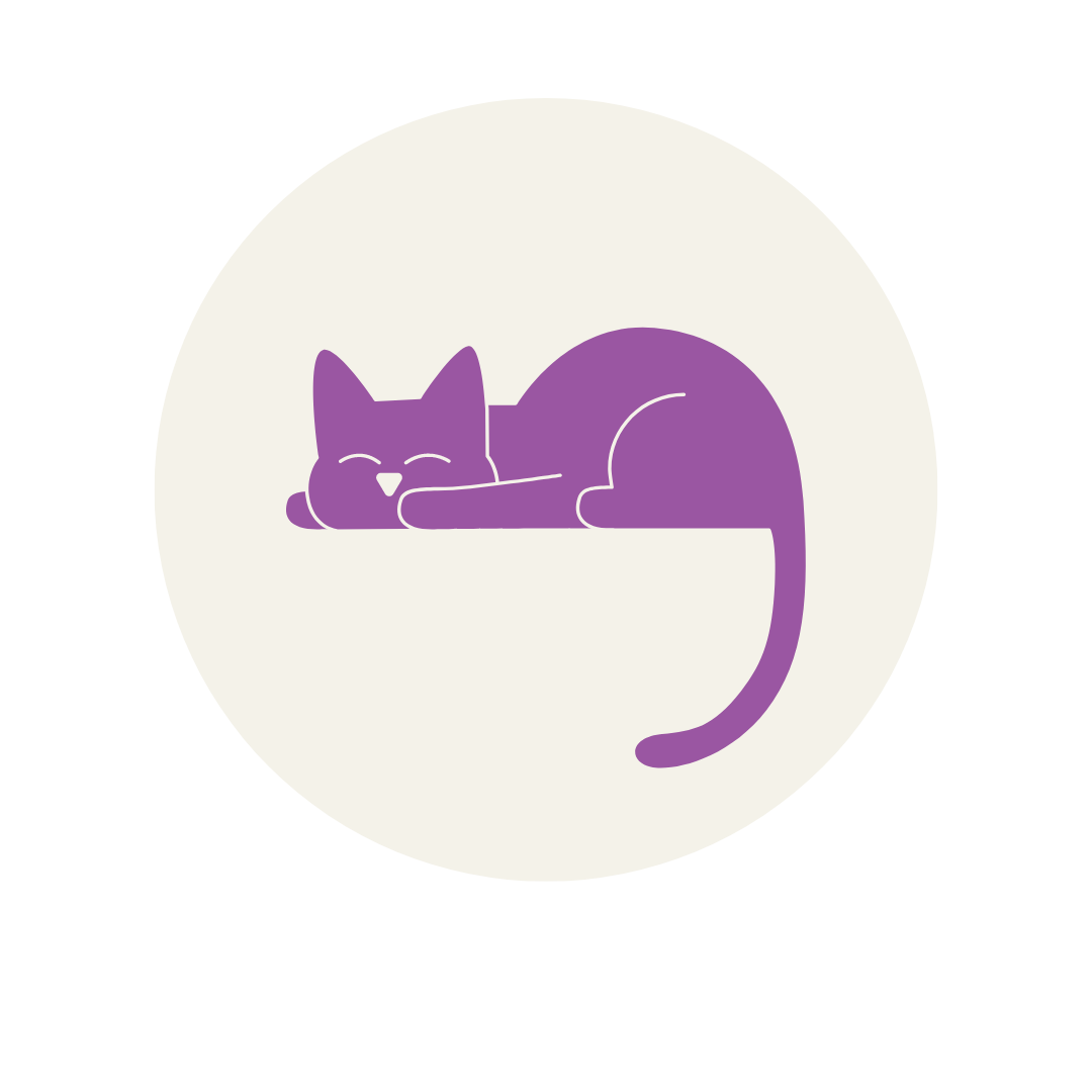 serviços, catsitting , catcare, cattaxi, catsitter, catboarding, comportamento felino doméstico, coaching para tutores de felinos domésticos, enriquecimento ambiental, casas cat friendly,